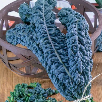 Mustakaali 'Black Magic'