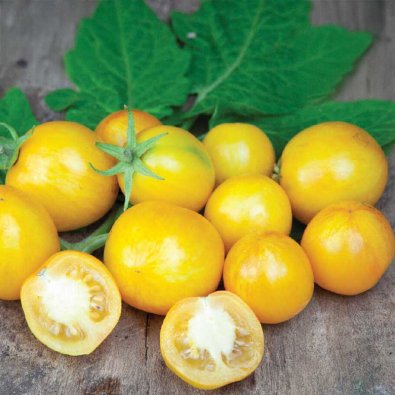 Kirsikkatomaatti 'Tigerette Cherry'