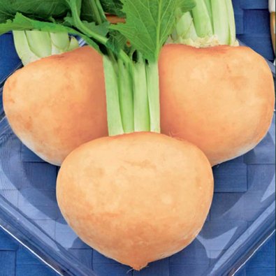 Naattinauris 'Golden Ball'