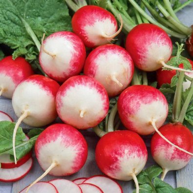 Retiisi 'National 2'