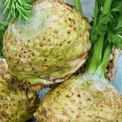 Mukulaselleri 'Mars'