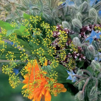 Mehiläis- ja kukkaseos