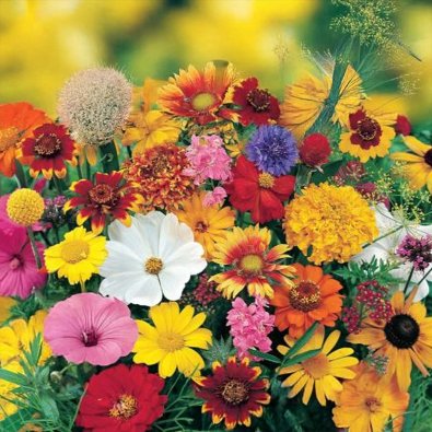 Loppukesän nektariseos