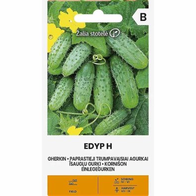 Avomaankurkku 'Edyp' F1