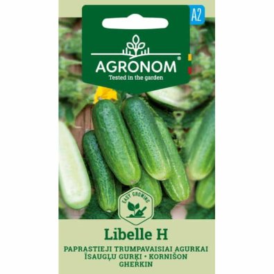 Kurkku 'Libelle' F1