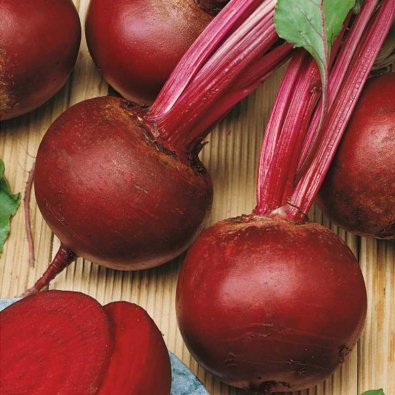 Punajuuri 'Rote kugel 2'