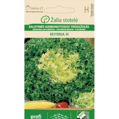 Punainen sikuri 'Myrna' h