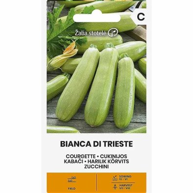 Kesäkurpitsa 'Bianca di trieste'