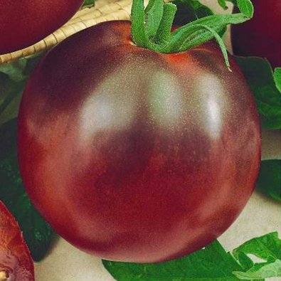 Tomaatti 'Nerondo' H