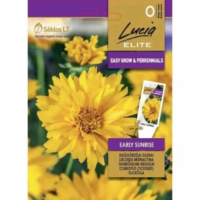 Kultatyräkki 'Early Sunrise'