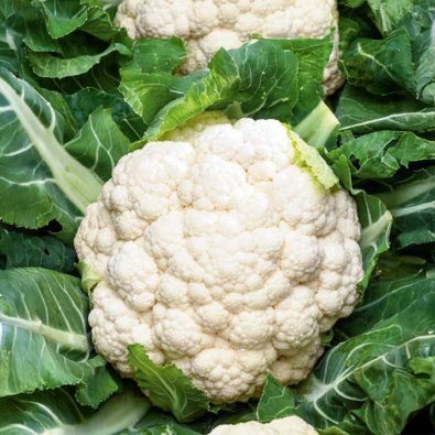 Kukkakaali 'Skywalker'