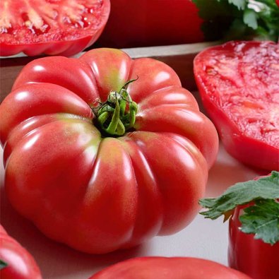 Tomaatti 'Rosa de barbastro'
