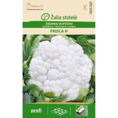 Kukkakaali 'Frisca' H