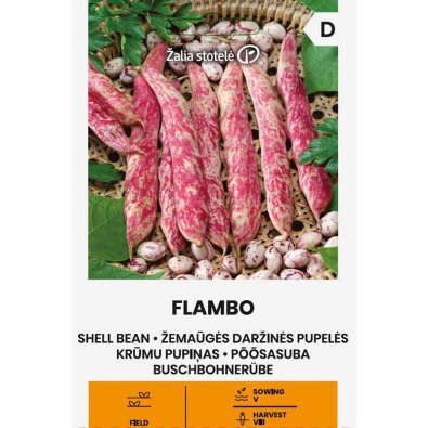 Matalakasvuinen puutarhapapu 'Flambo'