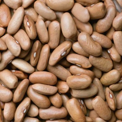 Pensaspapu 'Nugetka'