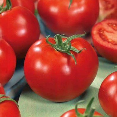 Tomaatti 'Baron' H