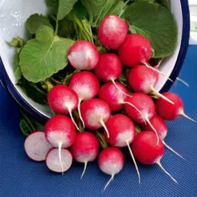 Retiisi 'National 2'