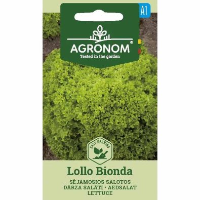 Bataviasalaatti 'Lollo Bionda'