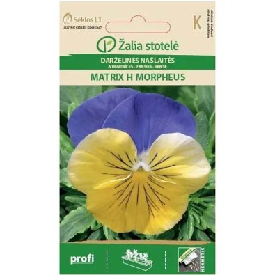 Orvokki 'Matrix H Morpheus'