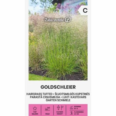 Tupsukattara 'Goldschleier'