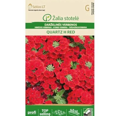 Verbena 'Quartz' F1 punainen