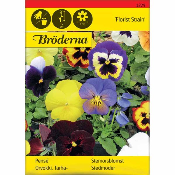 Orvokki 'Florist Strain' sekoitus