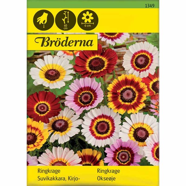 Kruunupäivänkakkara