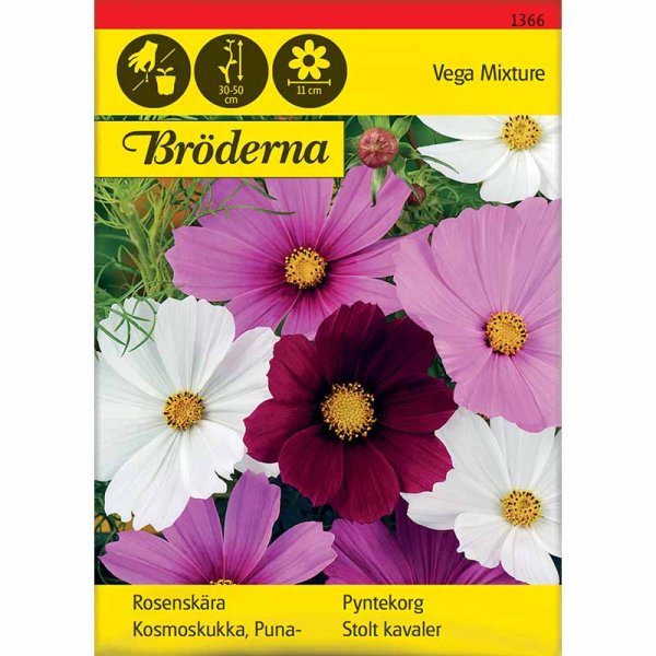 Kosmoskukka 'Vega Mixture'