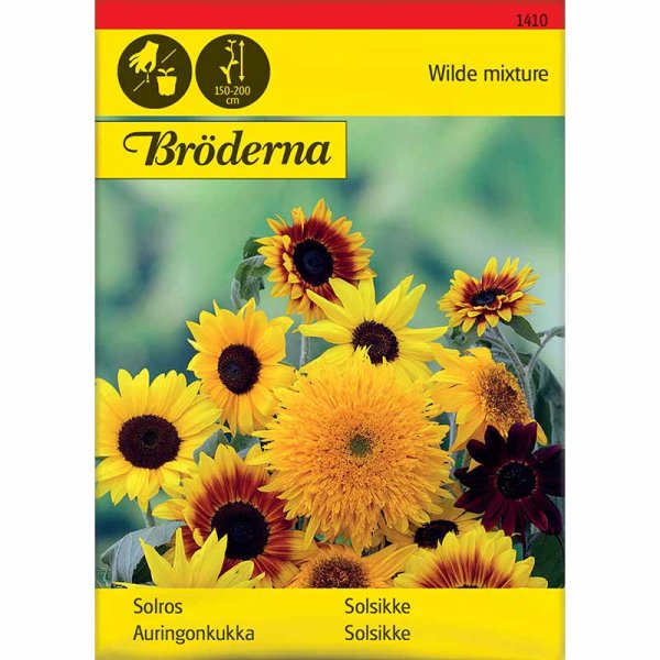 Auringonkukka sekoitus