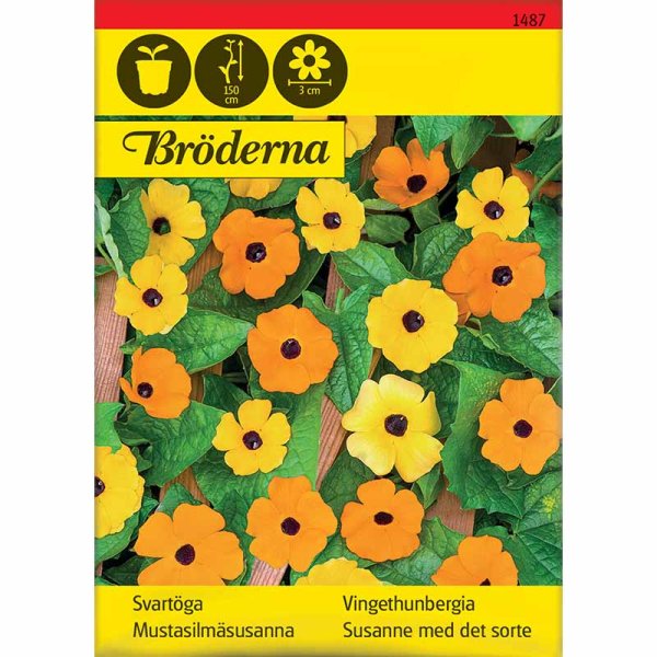 Mustasilmäsusanna sekoitus