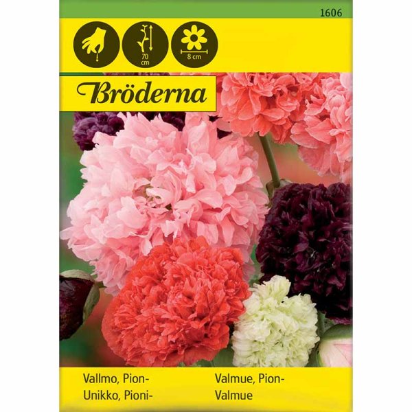 Pioniunikko sekoitus