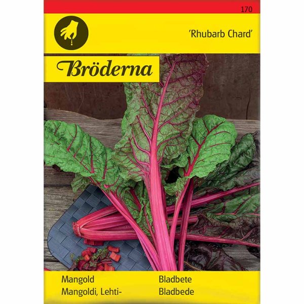 Mangoldi 'Rhubarb Chard'