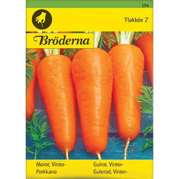 Talviporkkana 'Flakkée 2'