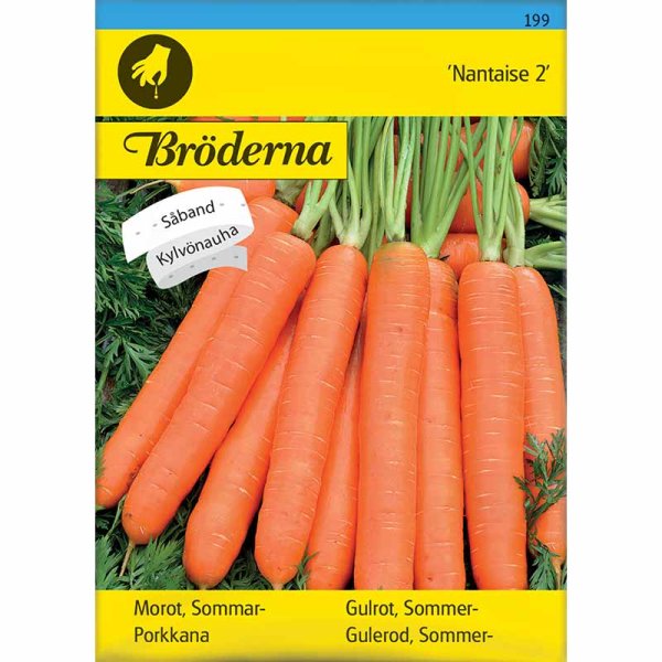 Kesäporkkana 'Nantaise 2'