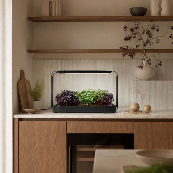 Zoomaa kuva kohteesta Urban Root Grove Black
