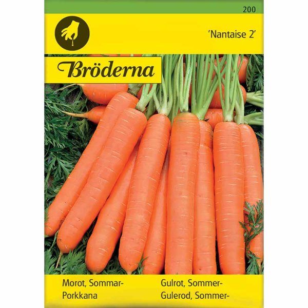 Kesäporkkana 'Nantaise 2'