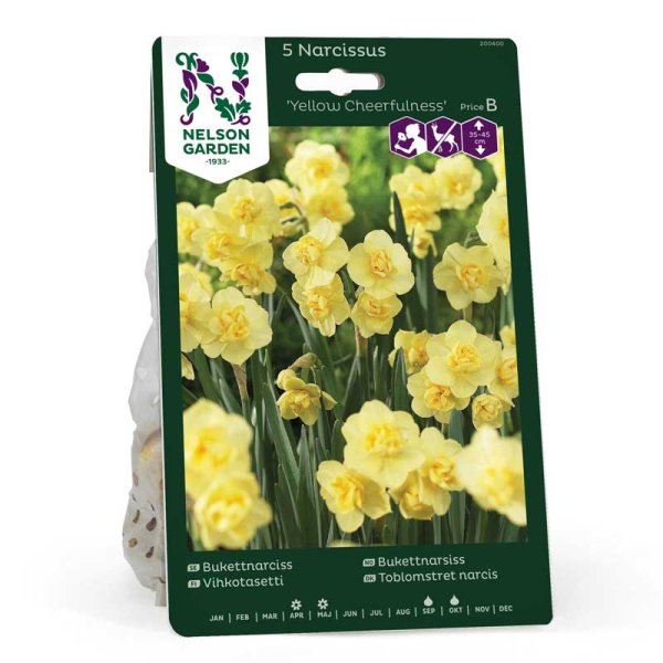 Terttunarsissi 'Yellow Cheerfulness'