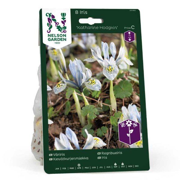 Kevätkurjenmiekka 'Katharine Hodgkin'