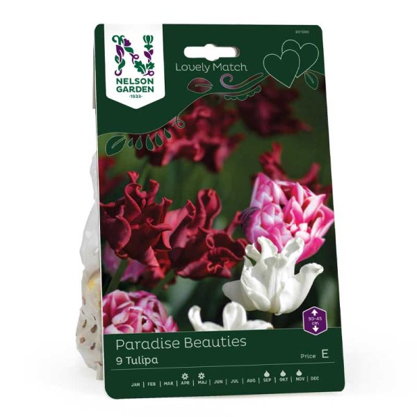 Lovely Match 'Dazzling Desire', 'Red Dress', 'White Liberstar'