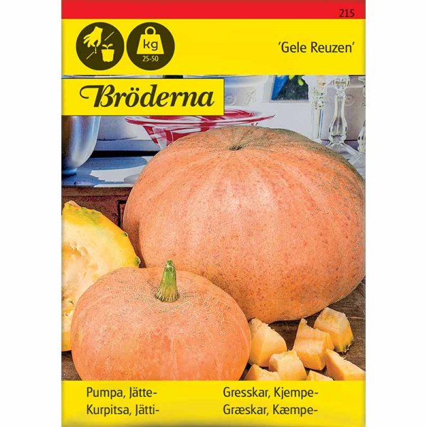 Jättikurpitsa 'Gele Reuzen'
