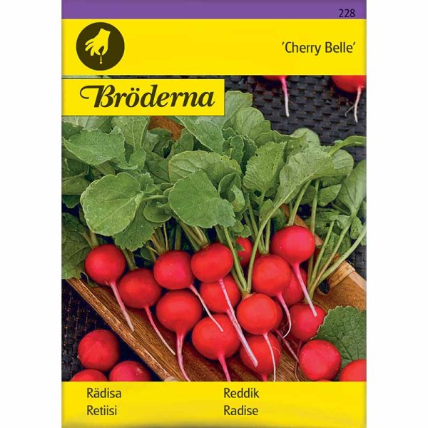 Retiisi 'Cherry Belle'