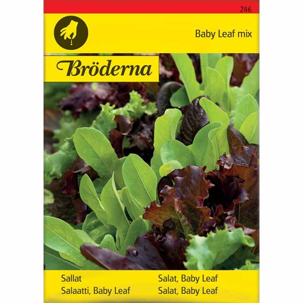 Salaatti 'Baby Leaf mix'