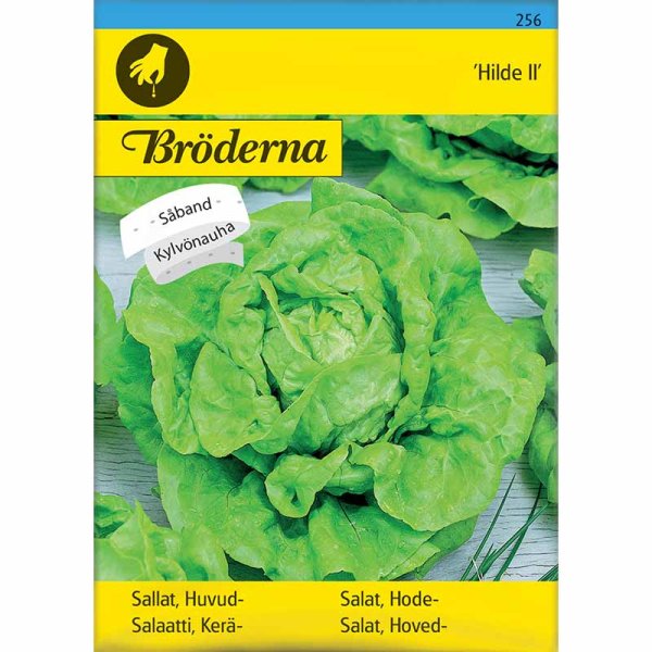 Keräsalaatti 'Hilde II' Siemennauha