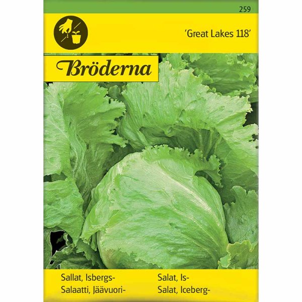 Jäävuorisalaatti 'Great Lakes 118'