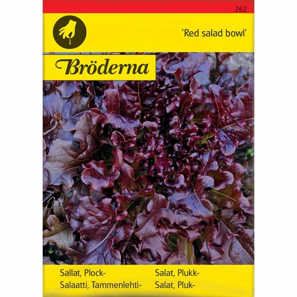 Lehtisalaatti 'Red salad bowl'