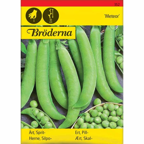 Kuorintaherne 'Meteor'