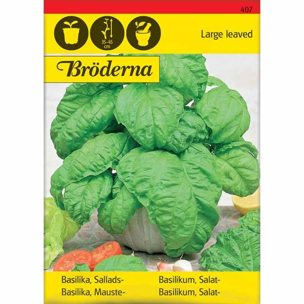 Basilika 'Large leaved'