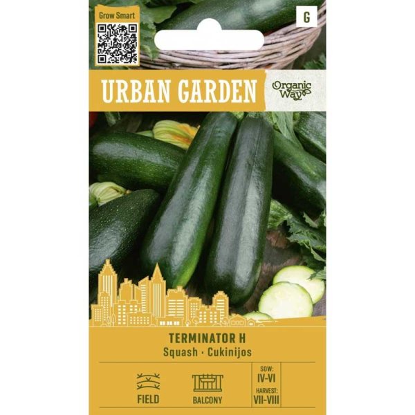 Kesäkurpitsa ’Terminator H’