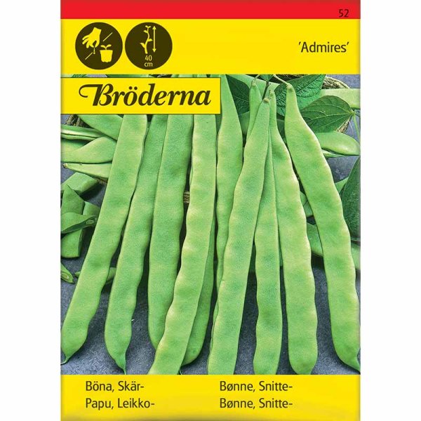 Litteä papu 'Admires'