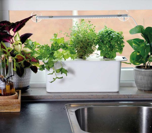 Hydroponinen järjestelmä Harvy 3 valkoinen